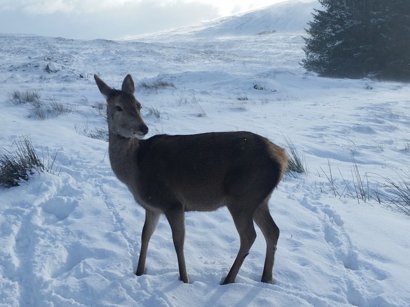 ...more neighbours!